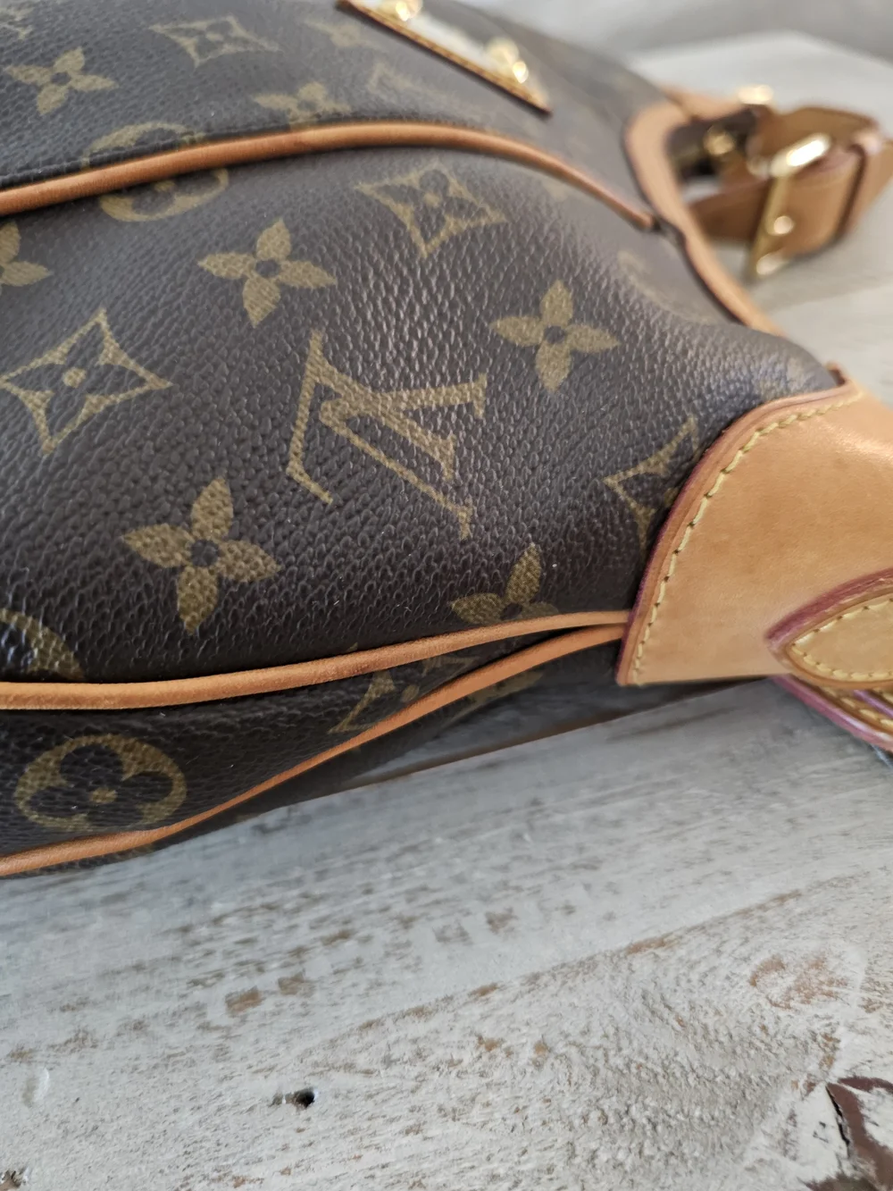 Louis Vuitton Thames GM Brown Monogram Canvas Hobo Bag